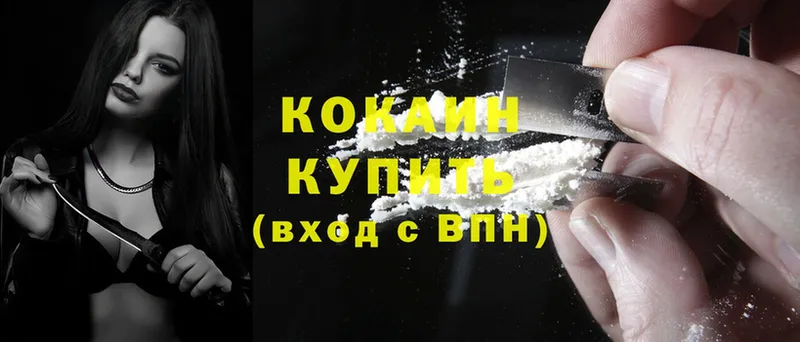 как найти закладки  Краснотурьинск  shop официальный сайт  COCAIN FishScale 